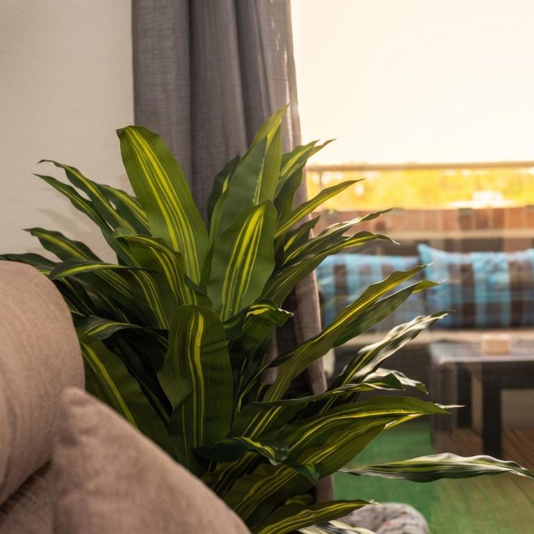 Apartalux Magic Gold - Apartamento de 2 dormitorios - 30