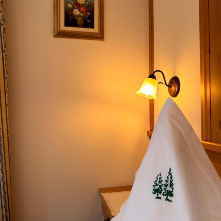 Hotel Ciasa Ai Pini - Camera Matrimoniale Superior - 4