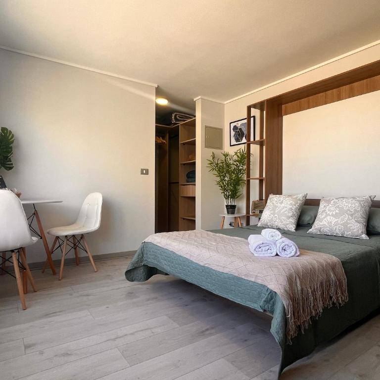Oceana Suites Estación Santa Lucia - One-Bedroom Apartment with View - 4