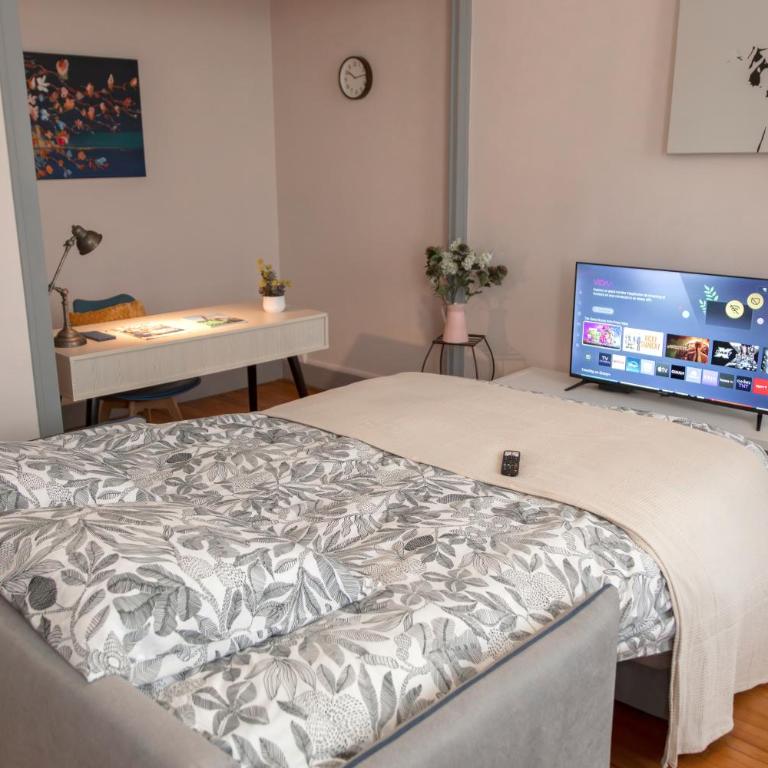 La Pause Tardy Grand T2 proche Université & EN3S - Apartment mit 1 Schlafzimmer - 27