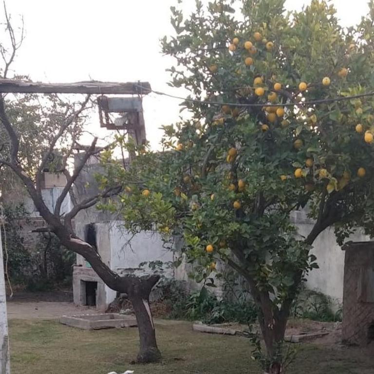 Spacious Rooms and a Family Spirit - Casa de 2 dormitorios - 11