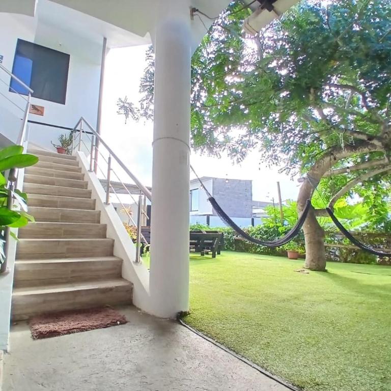 Lonesome George Suite - Apartamento de 1 dormitorio - 2