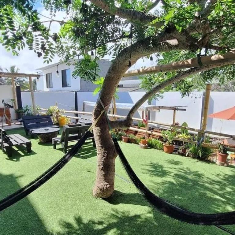 Lonesome George Suite - Apartamento de 1 dormitorio - 5