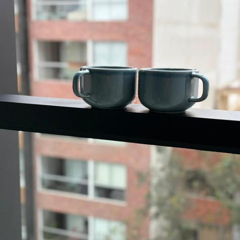 brand new bedroom apartment in Miraflores - Two-Bedroom Apartment - 13