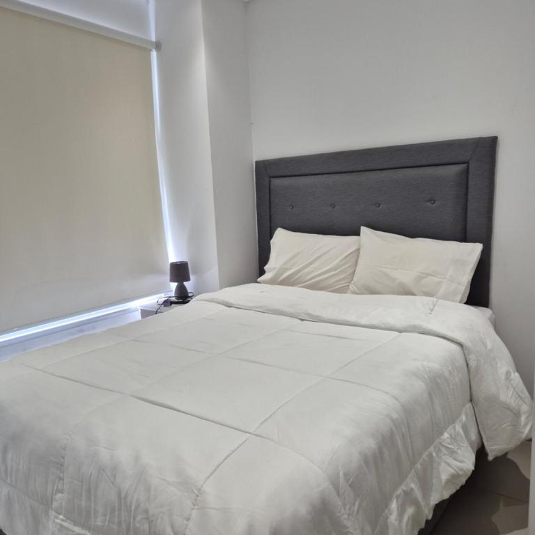 Molas tower 29F - Apartamento de 2 dormitorios - 5