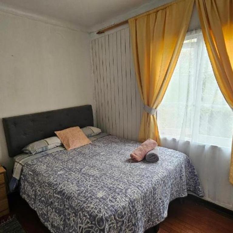 Gloria Hostel 2 poniente 333 casa 14 - Habitación Doble Estándar con baño compartido - 1