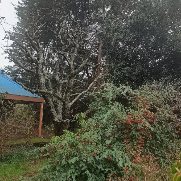Casa amplia y cómoda hasta 12 huespedes - Casa de 5 dormitorios - 25