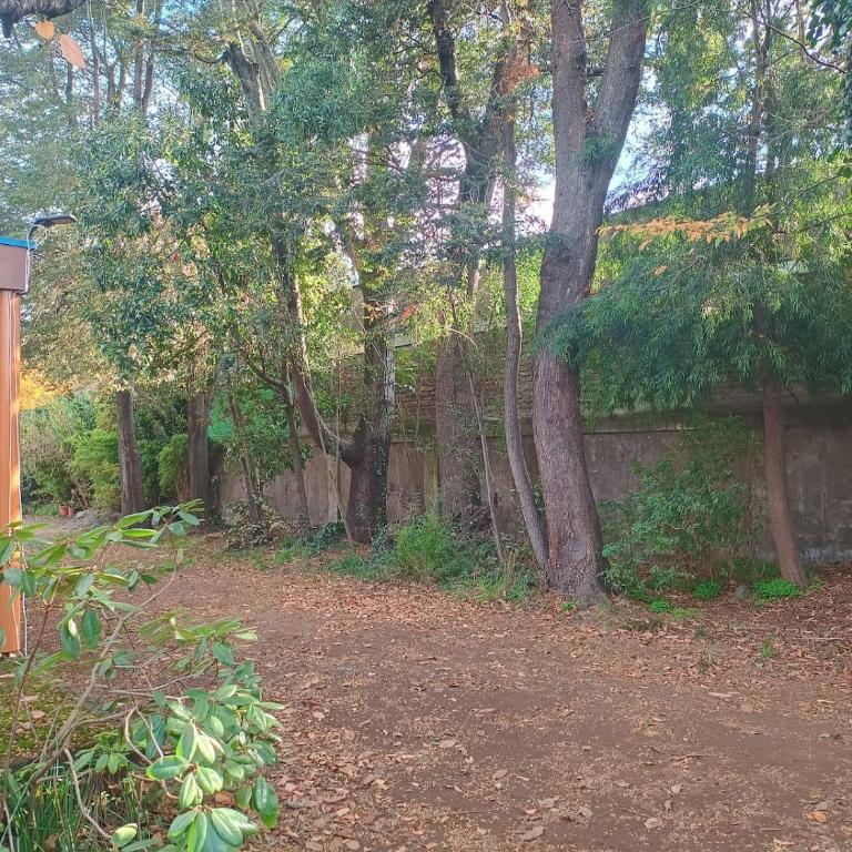 Casa amplia y cómoda hasta 12 huespedes - Casa de 5 dormitorios - 26