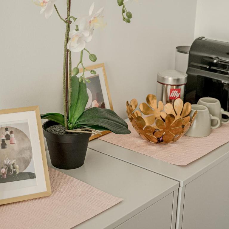 Apartment 1bd with 1 sofa bd with lift Paris 3 - Appartement 1 Chambre - 13