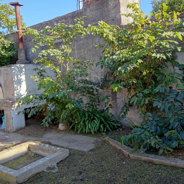 Spacious Rooms and a Family Spirit - Two-Bedroom House - 11