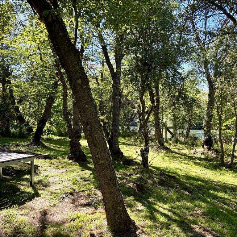 Tiny House on the Quilquihue River - Casa con 1 dormitorio - 9