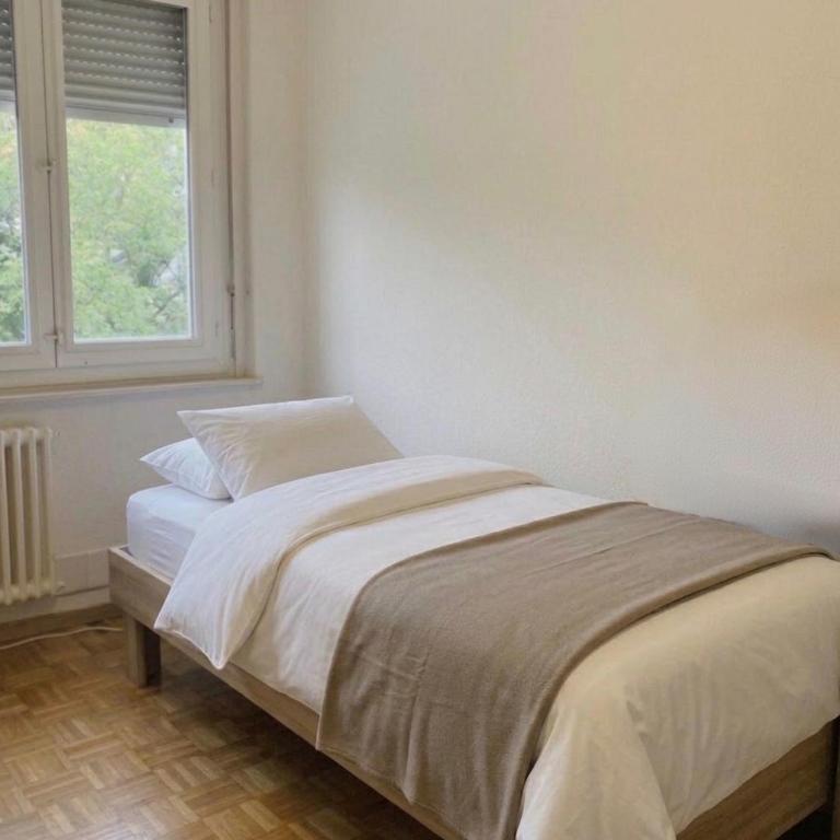 Appartement étudiant - Appartement 1 Chambre - 2