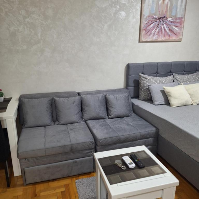 Apartman Obadovic - Apartman sa 1 Spavaćom Sobom - 2