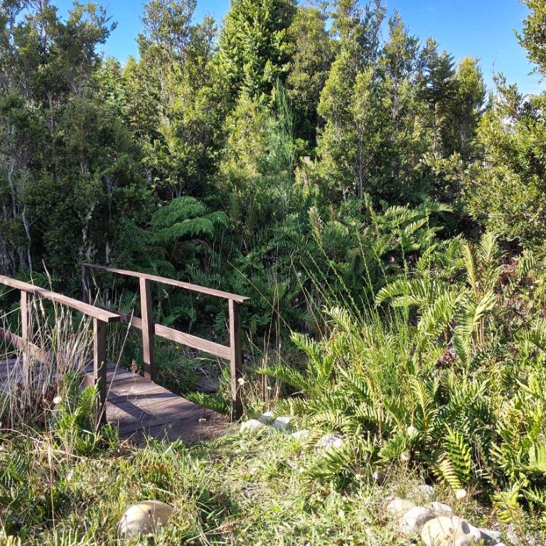 Oceana Suites Refugio Alerce - Four-Bedroom Vacation Home - 33