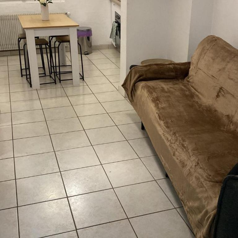 Blue Pearl Apartment - Appartement 1 Chambre - 8