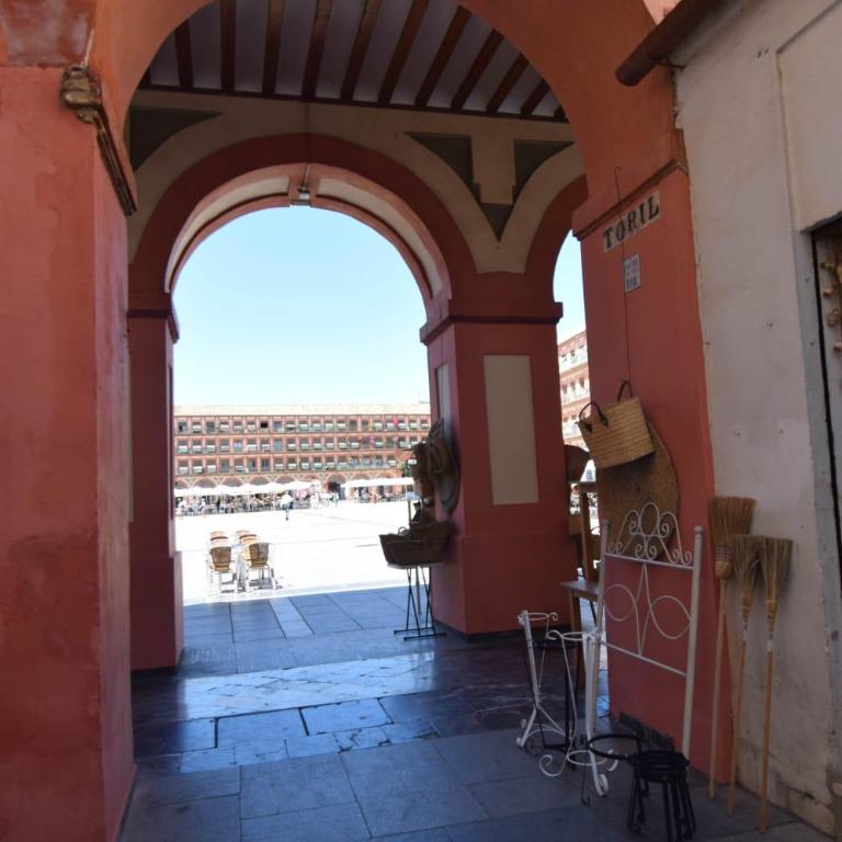 Ático Aguayos con terraza y cuatro dormitorios. - Apartamento - 27