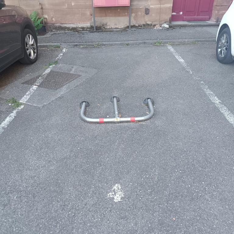 Coeur d'elsass Centre Ville avec parking - Appartement - Rez-de-Chaussée - 31