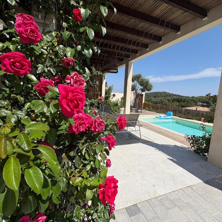 Villa Nomade proche de Cannes - Villa avec Piscine Privée - 11
