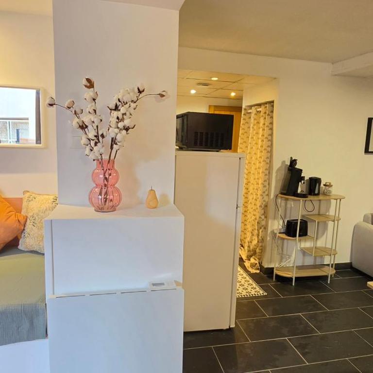 Le cœur de Lourdes parking central wifi - Appartement 2 Chambres - 18