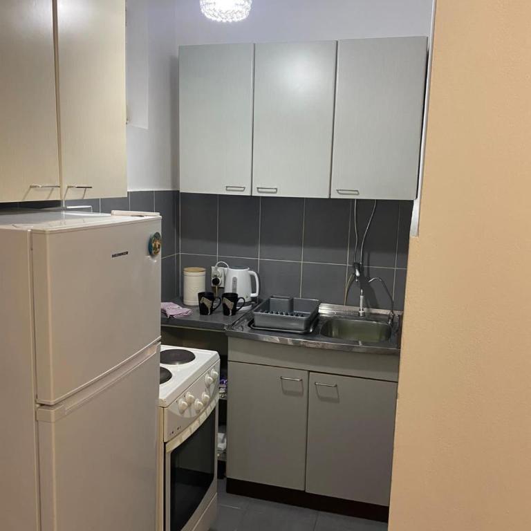 Tanja Apartment - Apartman sa 1 Spavaćom Sobom - 2