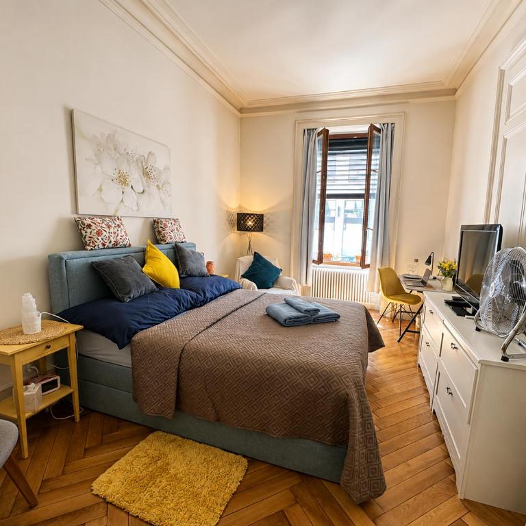 Quarto acolhedor no coração de Genebra a poucos passos do Lago Léman - Appartement 1 Chambre - 1
