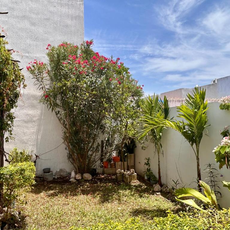 Casa Ángeles - Casa de 3 dormitorios - 12