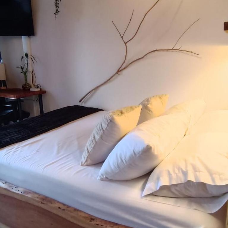 Cabañas Lobo Blanco - Apartaestudios en Laureles Medellín - Studio Apartment with Balcony - 32