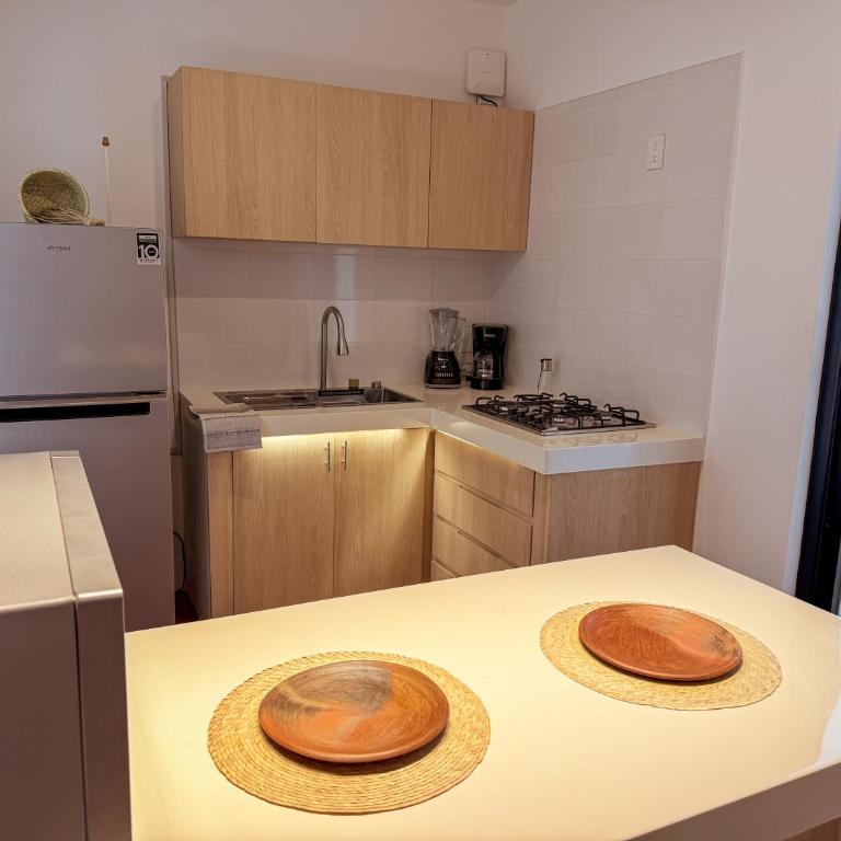 Boutique Loft with Terrace in Jalatlaco con AC - Appartement 1 Chambre - 25