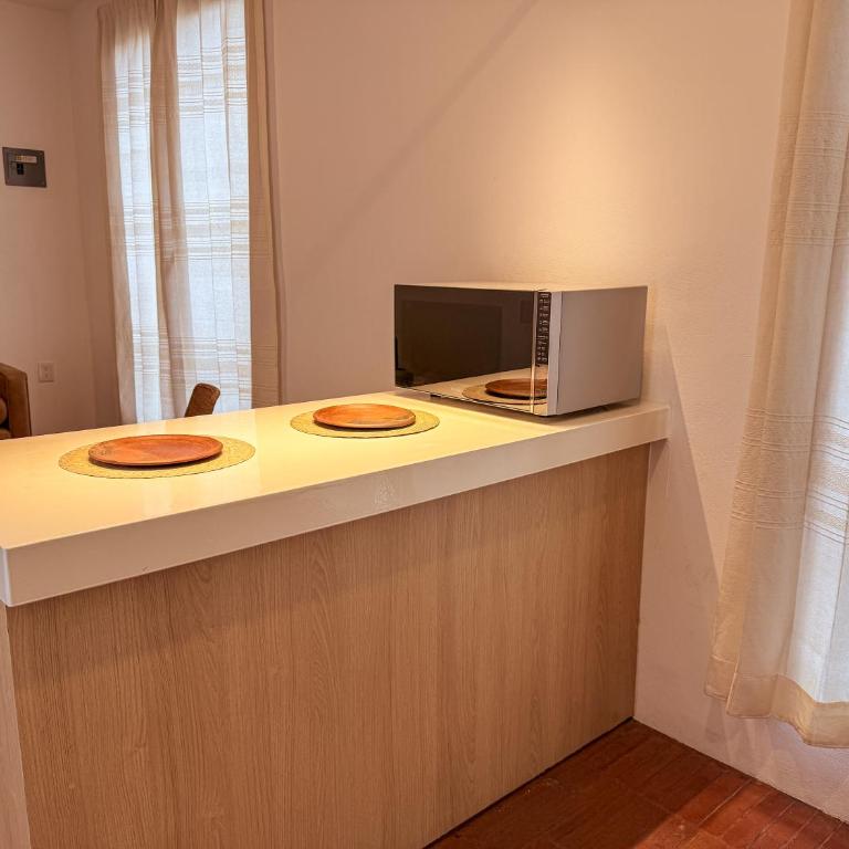Boutique Loft with Terrace in Jalatlaco con AC - Appartement 1 Chambre - 36