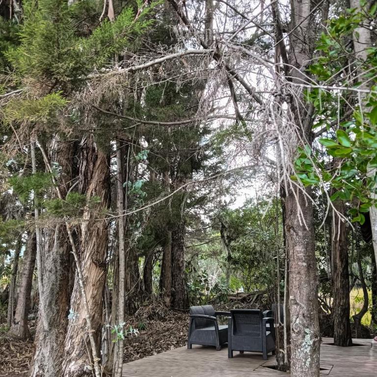 El refugio del bosque sofileño - Casa con 1 dormitorio - 4