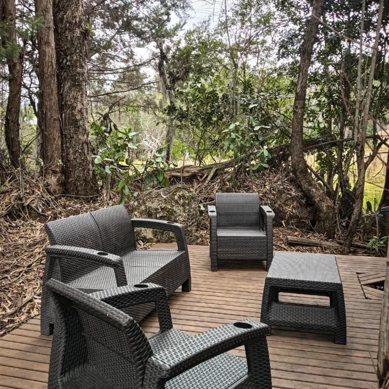 El refugio del bosque sofileño - Casa con 1 dormitorio - 6