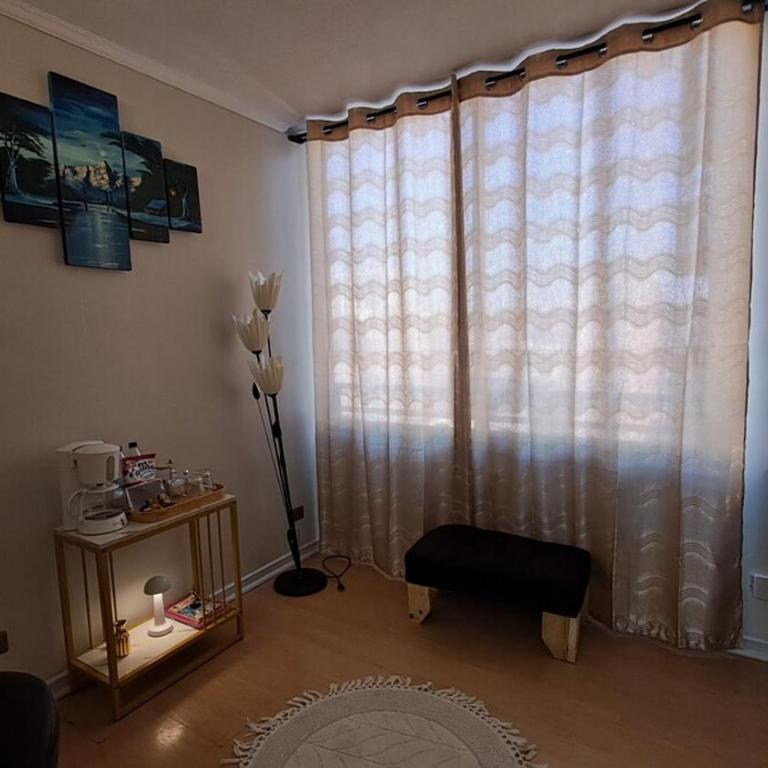 Encanto en el corazón de Santiago - One-Bedroom Apartment - 9
