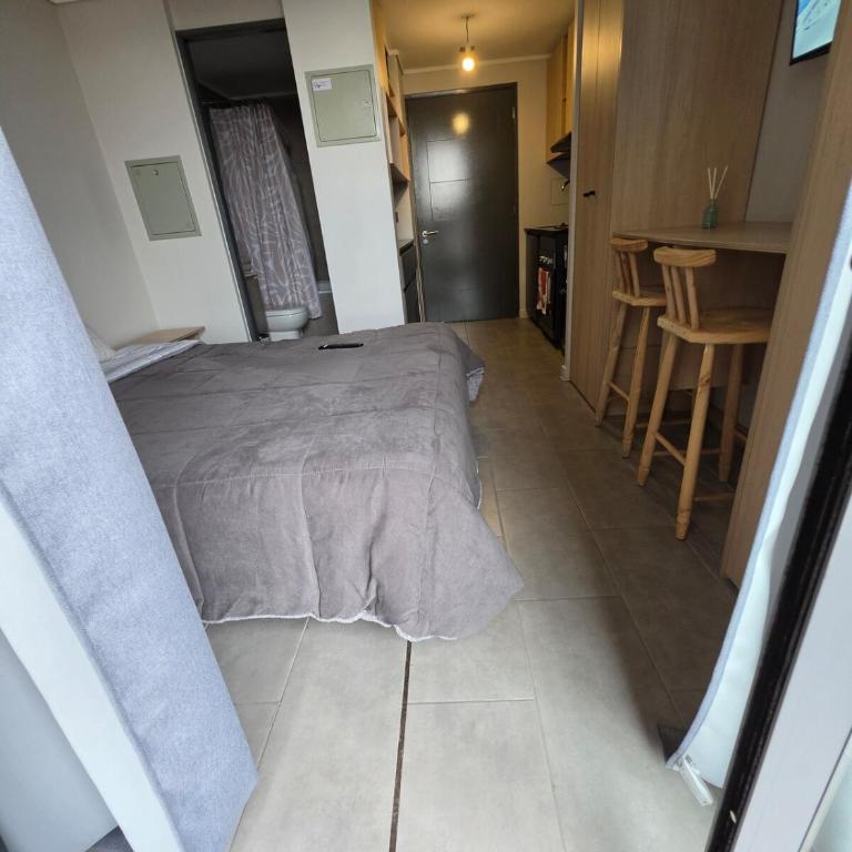 Acogedor studio frente Parque O'Higgins & the Metro - Apartamento de 1 dormitorio - 6