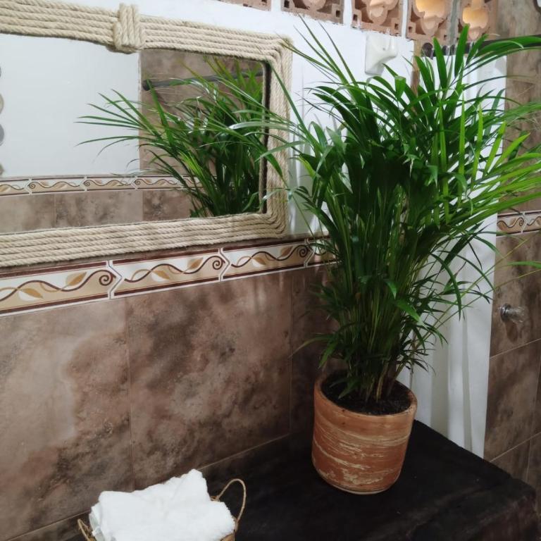 Cabaña con Jacuzzi Privado en El Peñol El palmar lodge - Apartamento de 1 dormitorio con vistas al jardín - 19