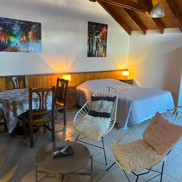 Patagonia Loft Monoambiente en villa los coihues - Casa con 1 dormitorio - 5