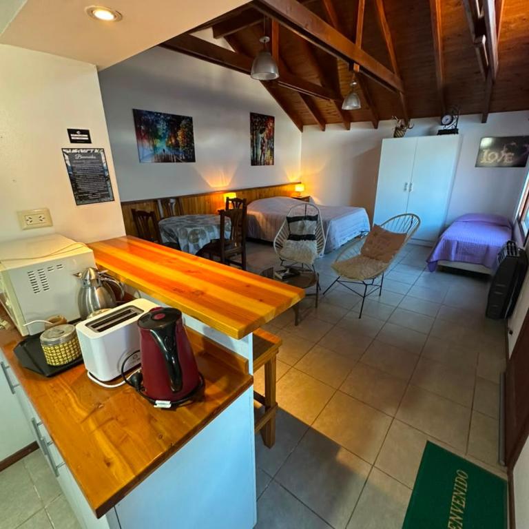 Patagonia Loft Monoambiente en villa los coihues - Casa con 1 dormitorio - 9