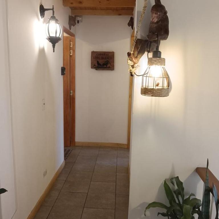 Cabañas Lobo Blanco - Apartaestudios en Laureles Medellín - Studio Apartment with One Double Bed - 20