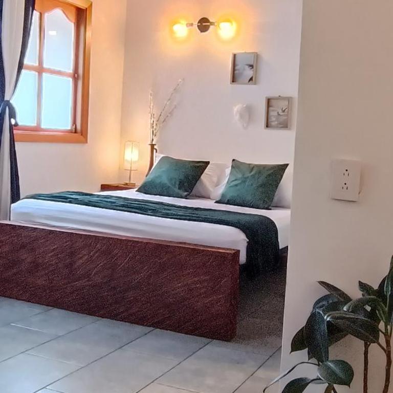 Cabañas Lobo Blanco - Apartaestudios en Laureles Medellín - Studio Apartment with One Double Bed - 18