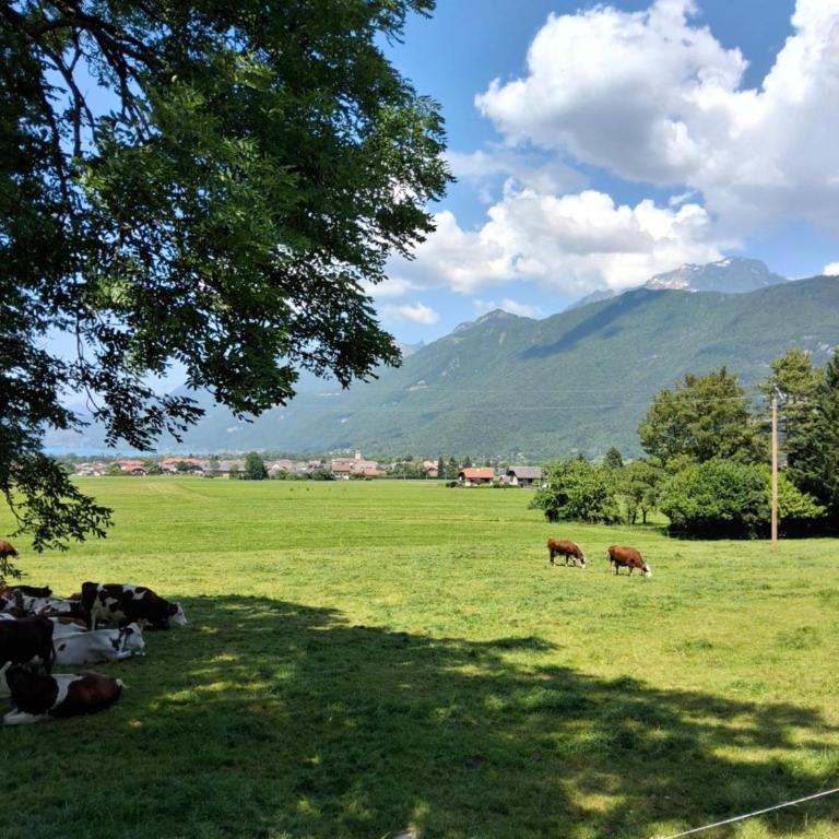 Ancien corps de ferme entre Cymes et Lac d'Annecy - Appartement 3 Chambres - 36