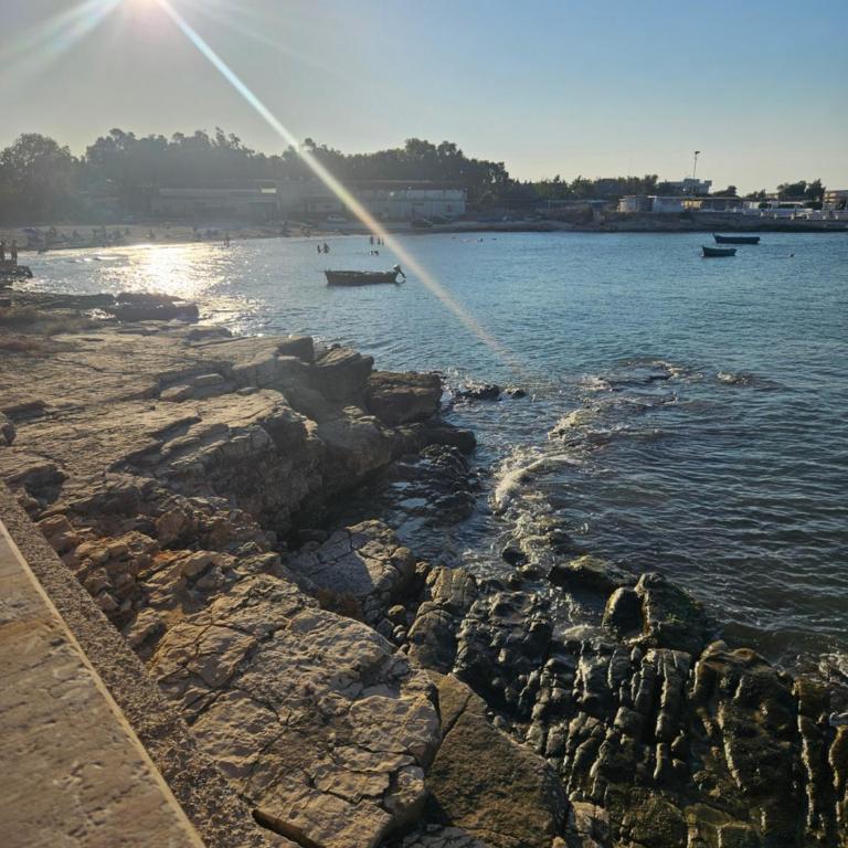 Oasi San Nicola Guest House of Puglia - Appartamento con 1 Camera da Letto e Vista Mare - 27