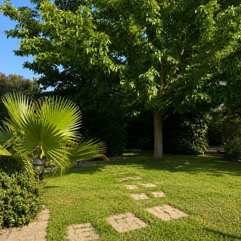 Charma casa vacanze - Apartamento de 2 dormitorios - 22