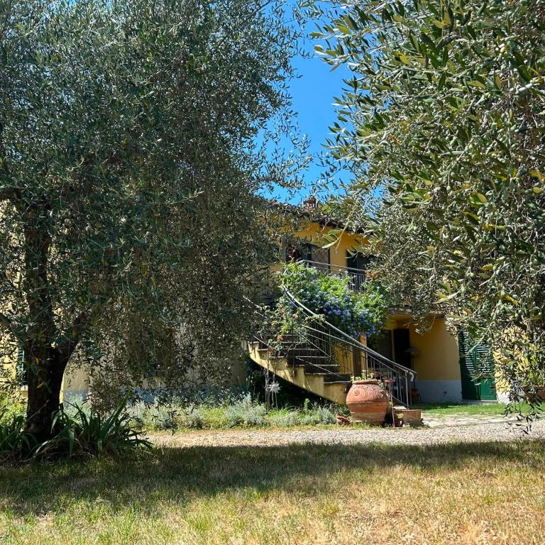 Florence, apartment with courtyard 3km from central station Z - Two-Bedroom Apartment - 16