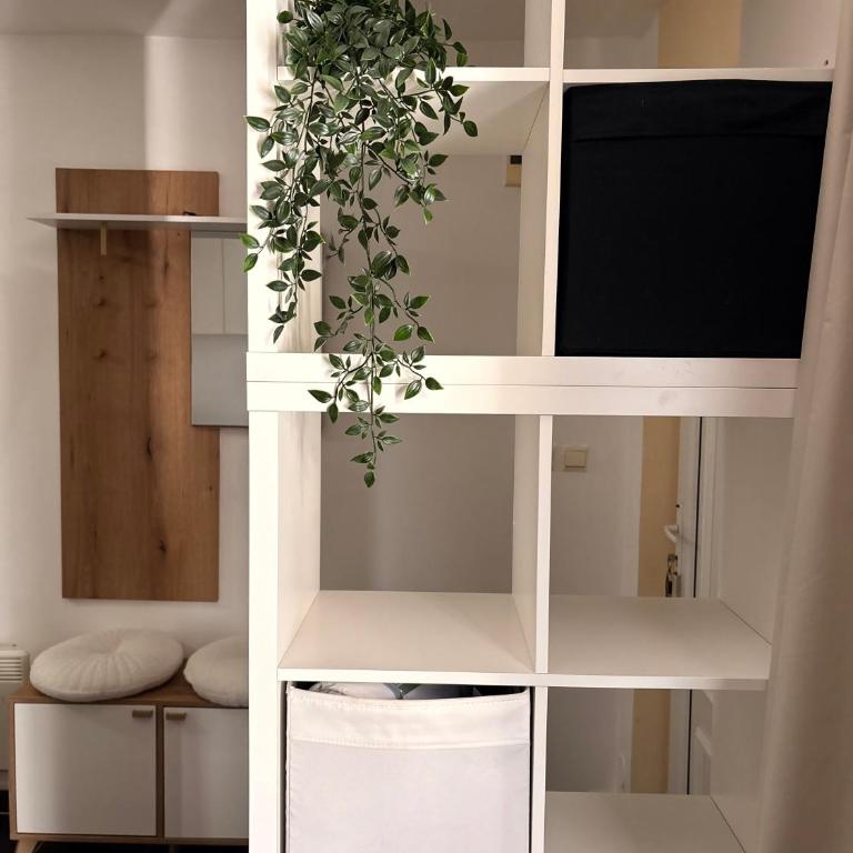 M&M's studio Kraljevi Čardaci - Studio Apartman - 4