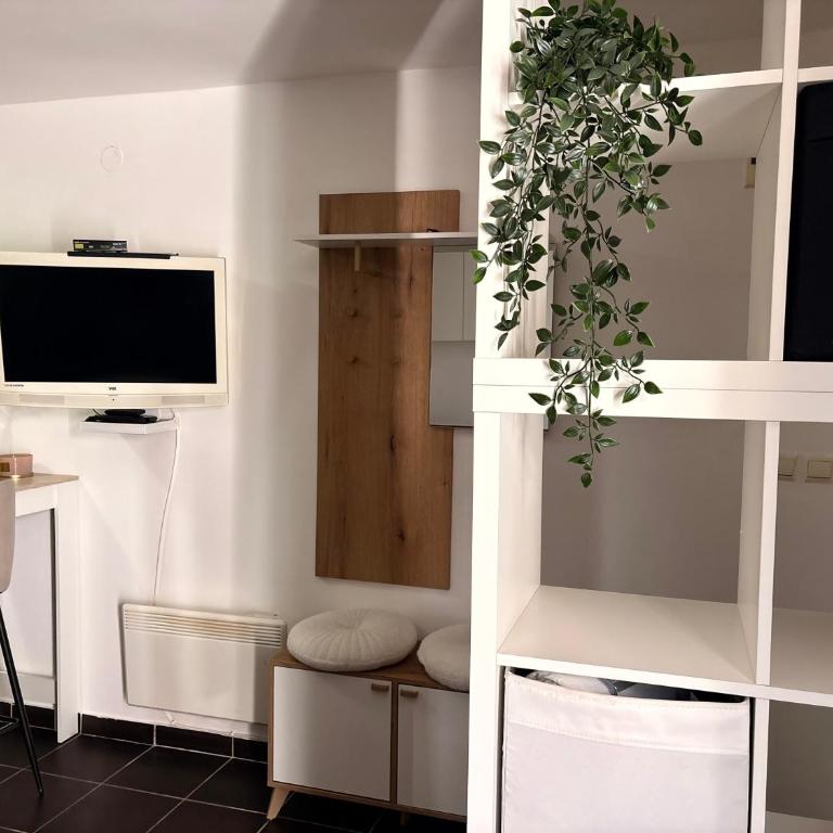 M&M's studio Kraljevi Čardaci - Studio Apartman - 12