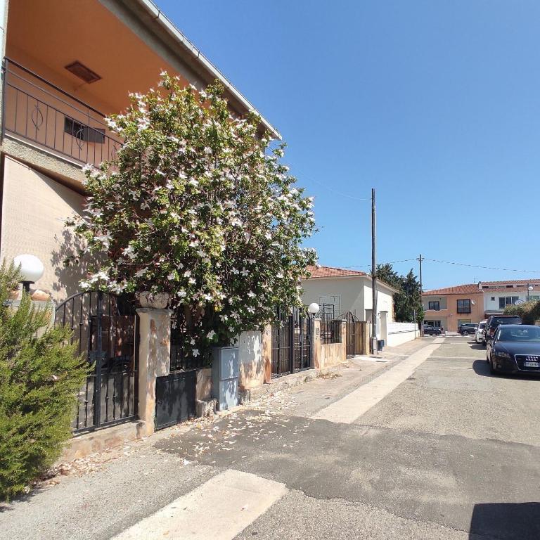 Casa Bianca, Budoni - Casa con 2 Camere da Letto - 11
