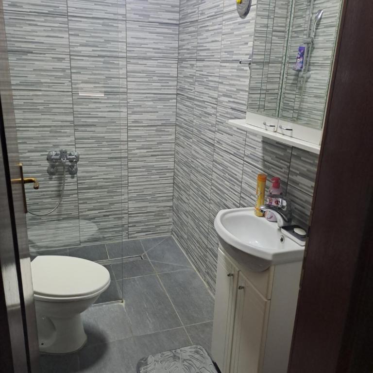 MilicaNS2 - Apartman sa 1 Spavaćom Sobom - 24
