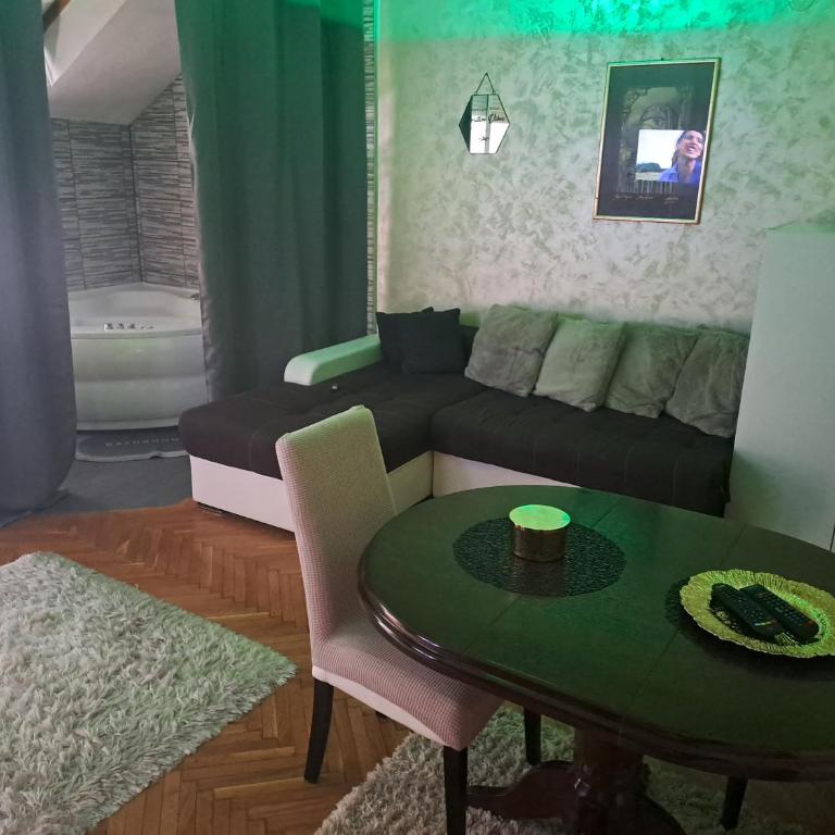 MilicaNS2 - Apartman sa 1 Spavaćom Sobom - 10