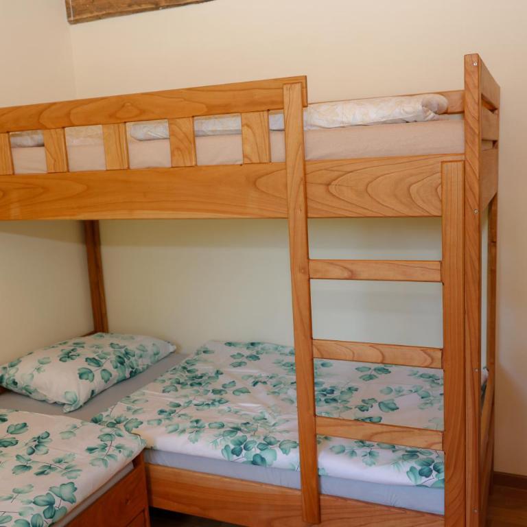 Villa, Vikendica - Sunny Hill - jacuzzi, sauna - Villa mit 2 Schlafzimmern - 24