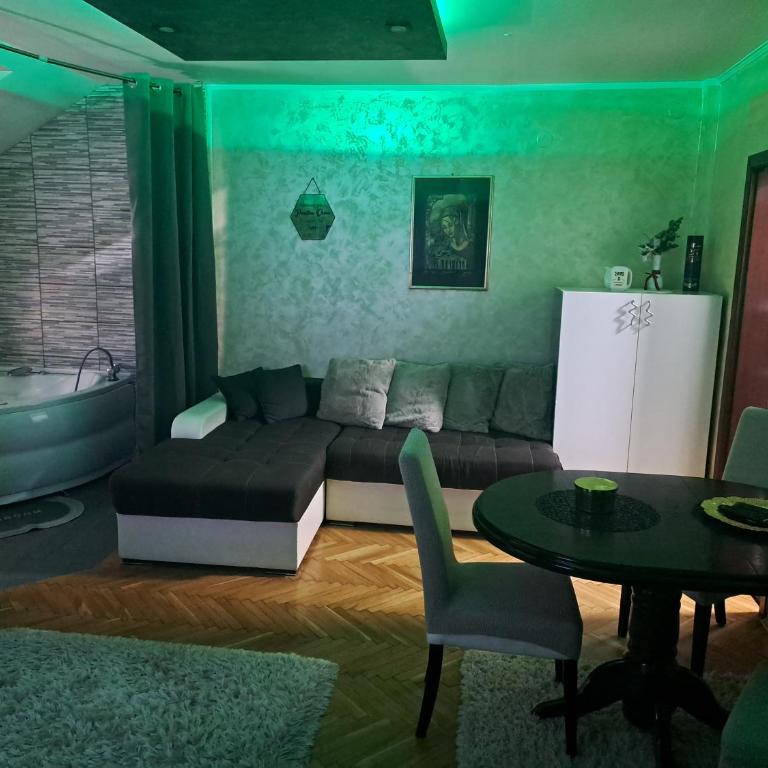 MilicaNS2 - Apartman sa 1 Spavaćom Sobom - 15