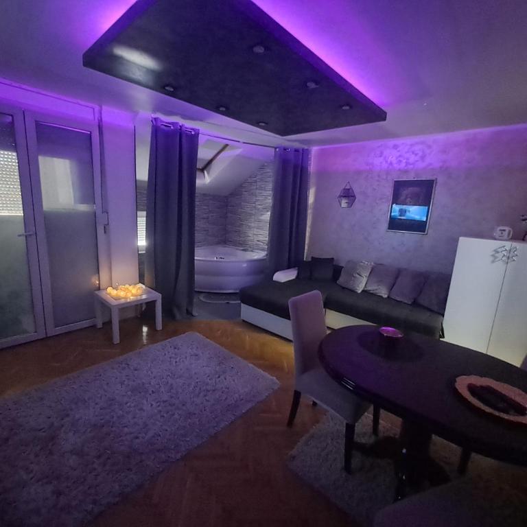 MilicaNS2 - Apartman sa 1 Spavaćom Sobom - 3